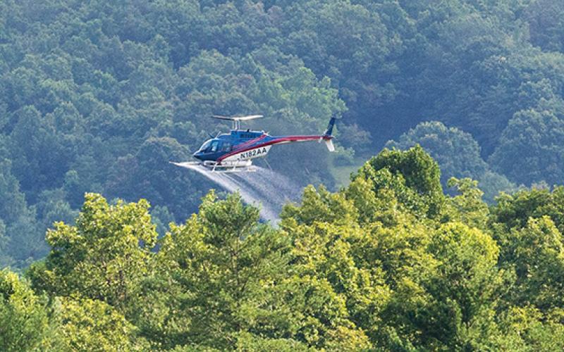 Photo submitted - A helicopter sprays herbicide along power lines in Cowee.
