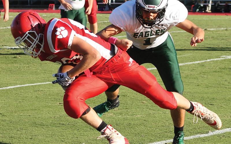 Press photo/Andy Scheidler Tight end Abraham Apel secures the ball after making a catch over the middle and taking a hit from a Flat Rock player in the final game of the season.