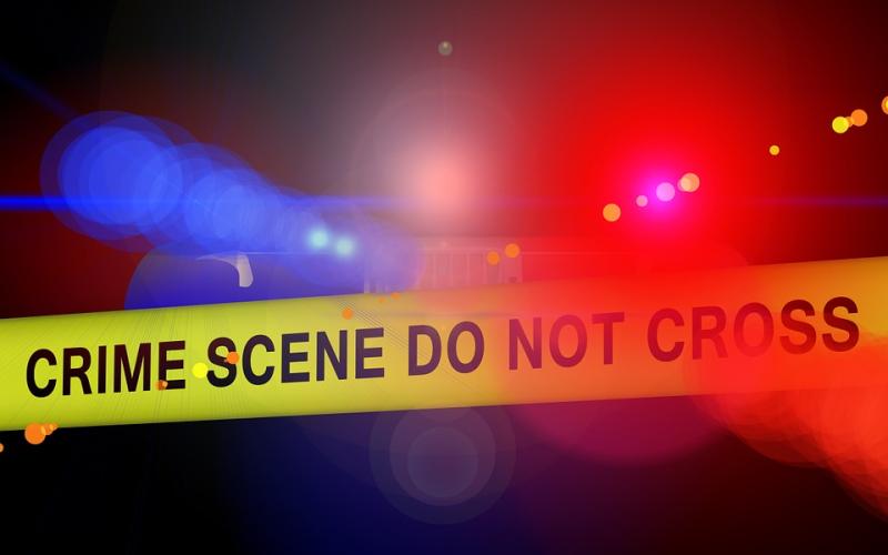 Search leads to 19 arrests