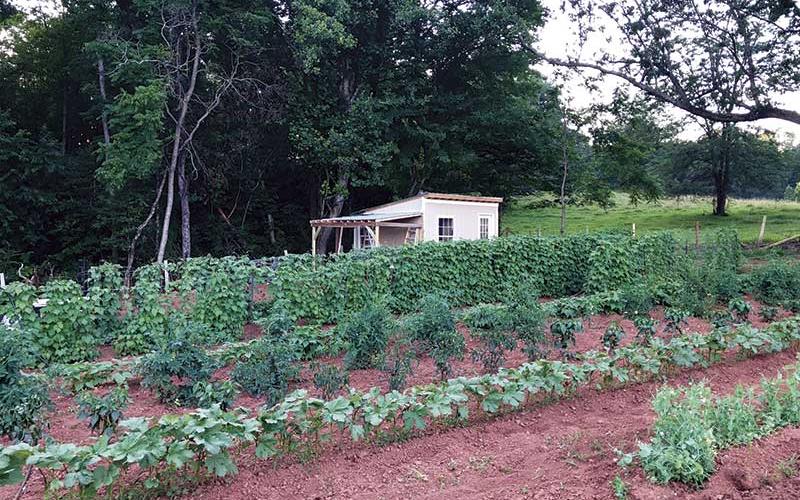 Photo submitted - Amy Ballard and her family cherish their garden and bounty it produces.