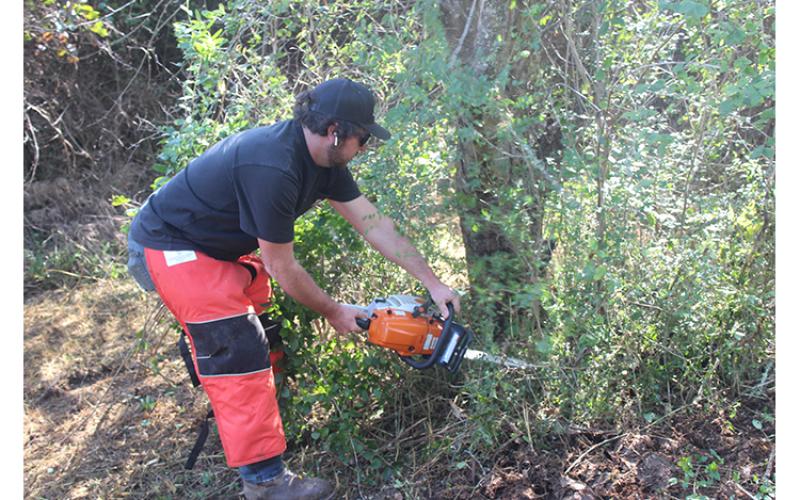Press photo/Jake Browning - Tyler Payne of Carolina Underbrushing clears vegetation at the future site of the Barbara McRae Cherokee Heritage Apple Trail. The trail will be located at the half-mile marker on the north end of the Little Tennessee River Greenway.