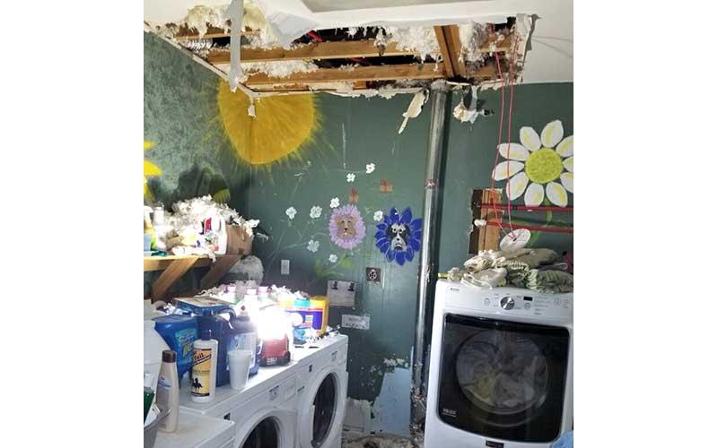 Photo submitted - Busted pipes flooded sections of the AARC shelter, depleting much of their renovation fund. The shelter is closed due to a parvo outbreak.