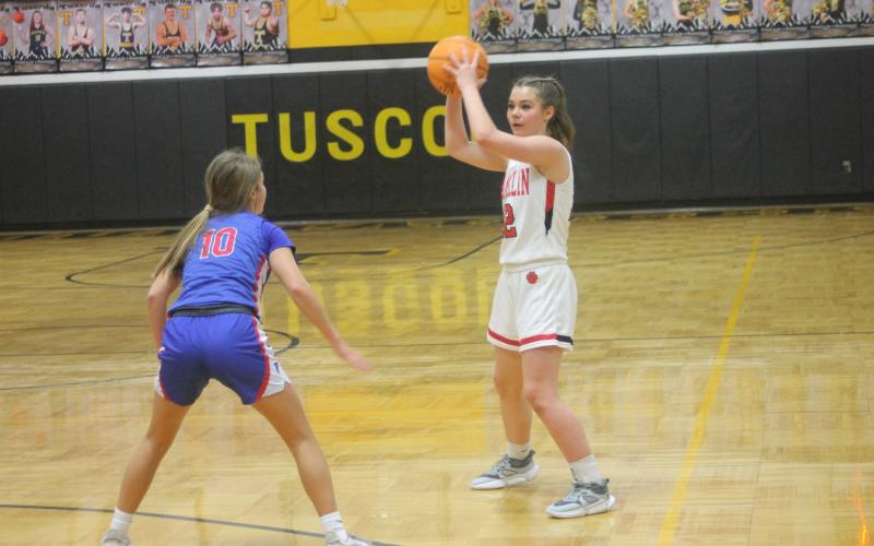 Press file photo - Rising junior Cali Queen surveys the court in the Mountain Seven Semifinal against West Henderson Feb. 14.