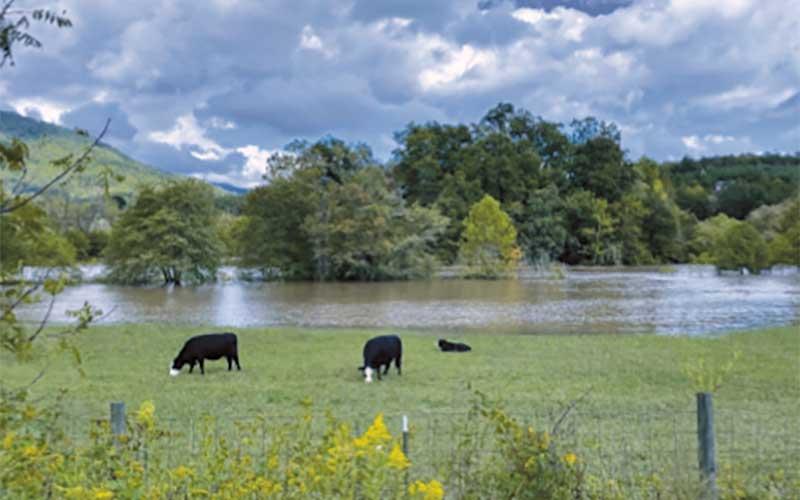 Photo submitted - A photo showing flooding of farmland following Hurricane Helene. The photo is include in the Water Quality Advisory Committee’s report that will be presented ot the Macon County Planning Board.