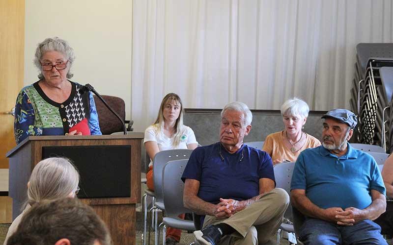 Press photo/Shelby Powell - Karen Smith speaks to the Macon County Planning Board to recommend the board support district voting for its redistricting recommendation.
