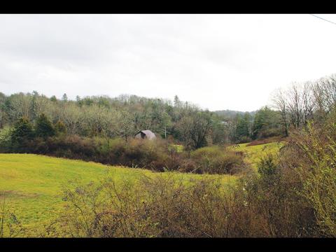 Press photo/Jake Browning - The 100-unit subdivision is planned for this 40-acre site off Highlands Road.