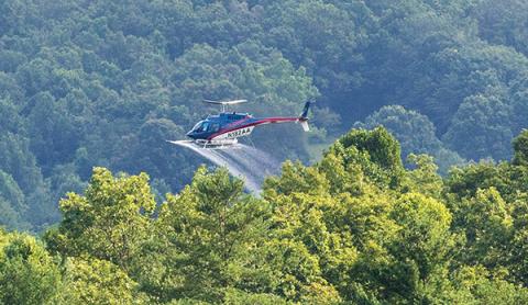 Photo submitted - A helicopter sprays herbicide along power lines in Cowee.