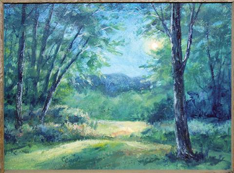 “In the Stillness,” Carol Conti - What would Bartram have felt to be at peace in the woods after a day of traveling, maybe sketching and writing his notes by campfire light? … ‘In the Stillness’ is that moment that I would imagine William Bartram could have experienced, at one with nature.”