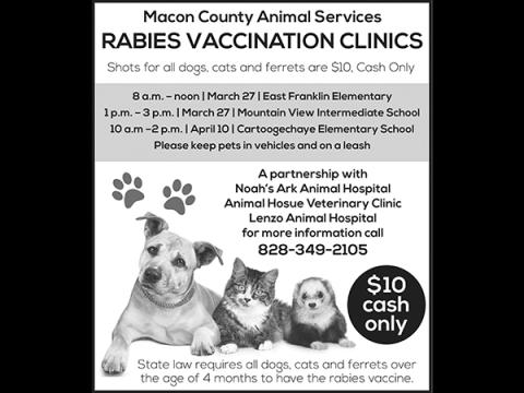 Rabies Clinic