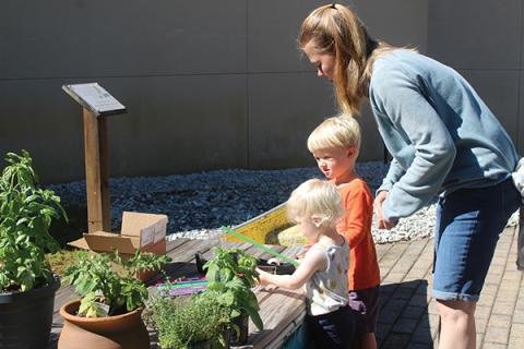 Press photo/Jake Browning - Aeven Tucker, Callum Tucker and Morgan Price learn about making homemade rain gauges during “Sowing Seeds for Our Table” at the Macon County Public Library.