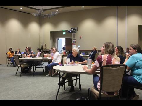 Teaching teachers