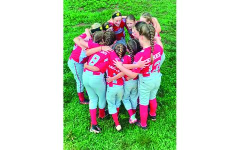 Photo Contributed - Franklin’s Little League Softball 8U All-Stars hold a players-only meeting at the State Championship tournament.