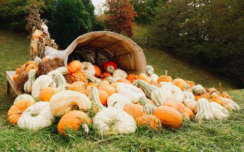 Press photo/Braulio Fonseca - The cornucopia displayed at Drake Software represents a bountiful harvest.