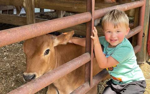Press photo/Mia Overton - The Macon County Fair opens Wednesday, Sept. 20 with four days of exhibits, demonstrations, contests and animal shows.