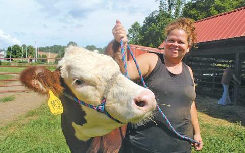 Press photo/Thomas Sherrill - Franklin High FFA Instructor Jenny Collins with Magnolia during a July 31 work session at the Macon County Fairgrounds.