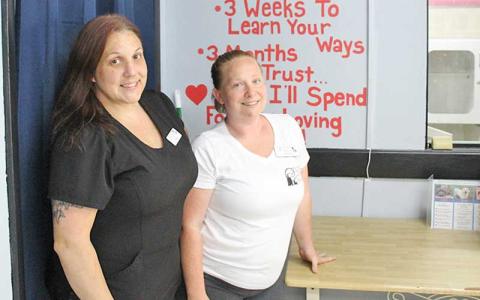 Photos/Shelby Powell - Appalachian Animal Rescue Center’s new manager Nikki Jones (left) and assistant manager Angela Cox (right) have been working with the nonprofit for two months, working on building renovations for most of that time.