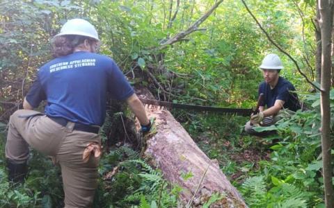 Photo submitted - SAWS Trail Crew members Michael Brosseau (left) and Julian Jourdan on the Beech Creek Trail in Southern Nantahala Wilderness on the Nantahala Ranger District. The organization has been working to remove major downed trees from the trail, part of a much larger trail clearing and restoration project. 