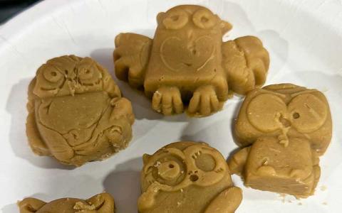 Press photo/Mia Overton - Owl shaped peanut butter fudge was my favorite while judging the youth baked goods for the N.C. Mountain State Fair. The one on the right is the one we sampled – that’s why he’s missing his feet.