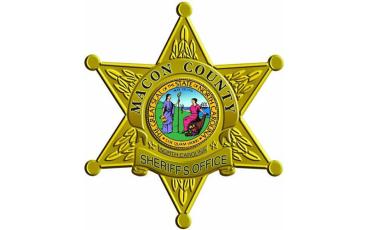 Sheriff's office logo